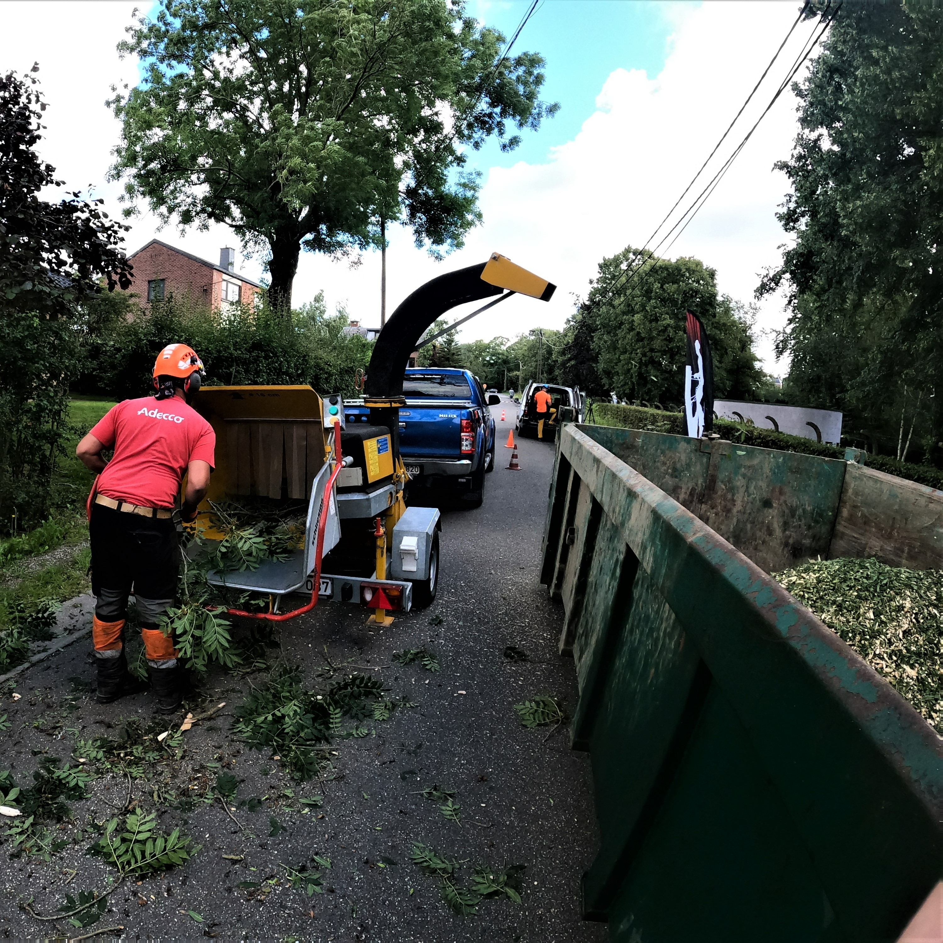 DEMONTAGE_ARBRE_GRUE_CORDERIE_BAUWENS08