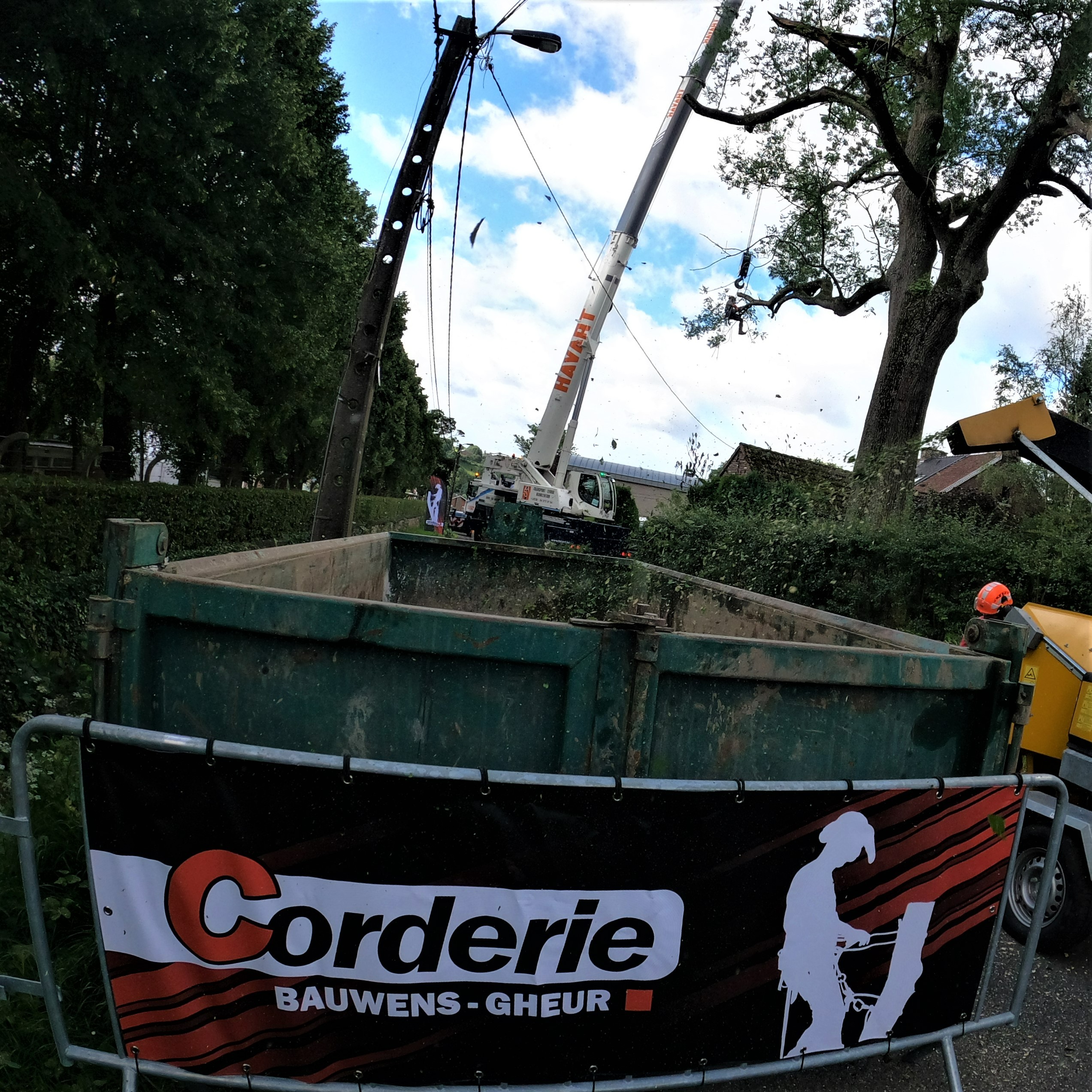 DEMONTAGE_ARBRE_GRUE_CORDERIE_BAUWENS05