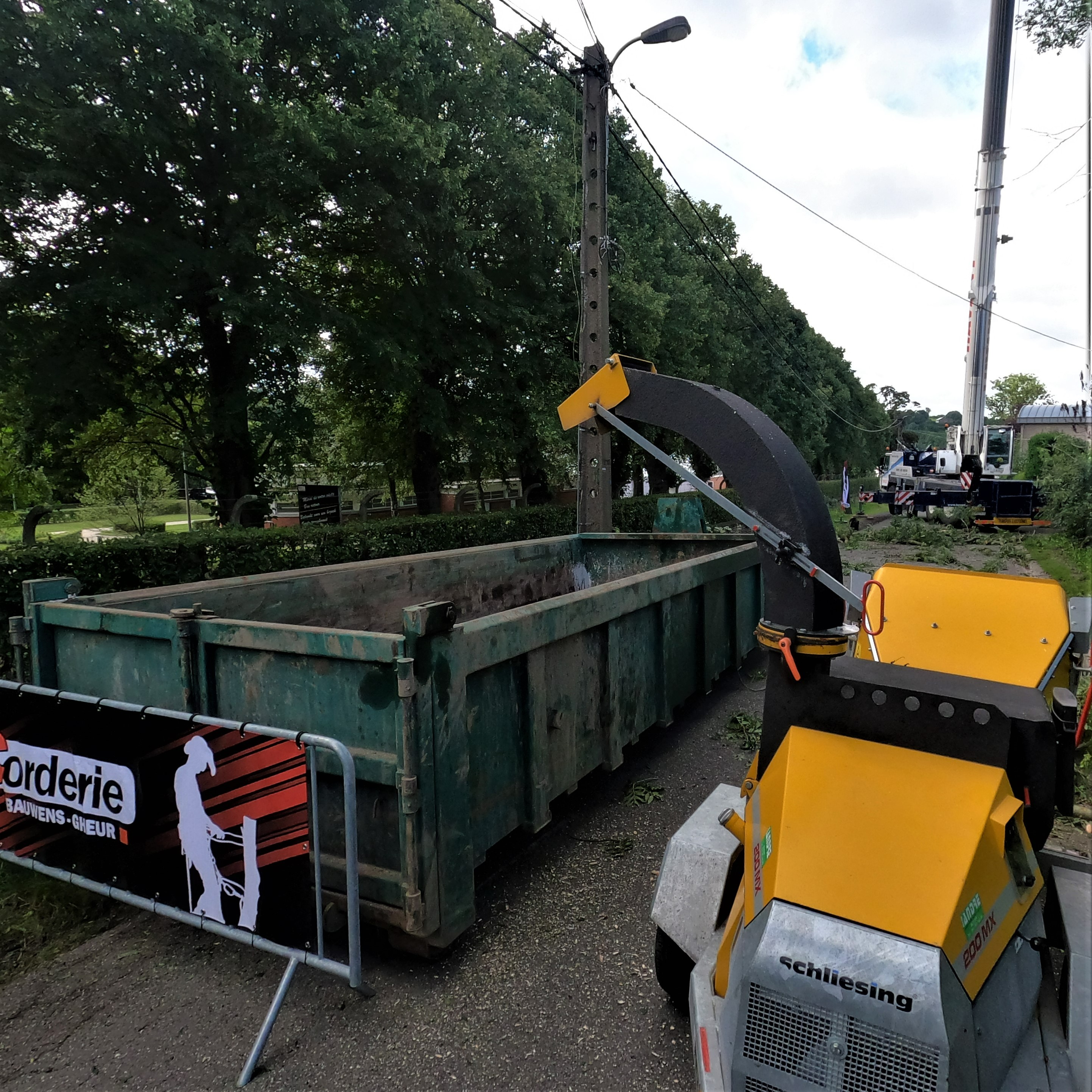 DEMONTAGE_ARBRE_GRUE_CORDERIE_BAUWENS07