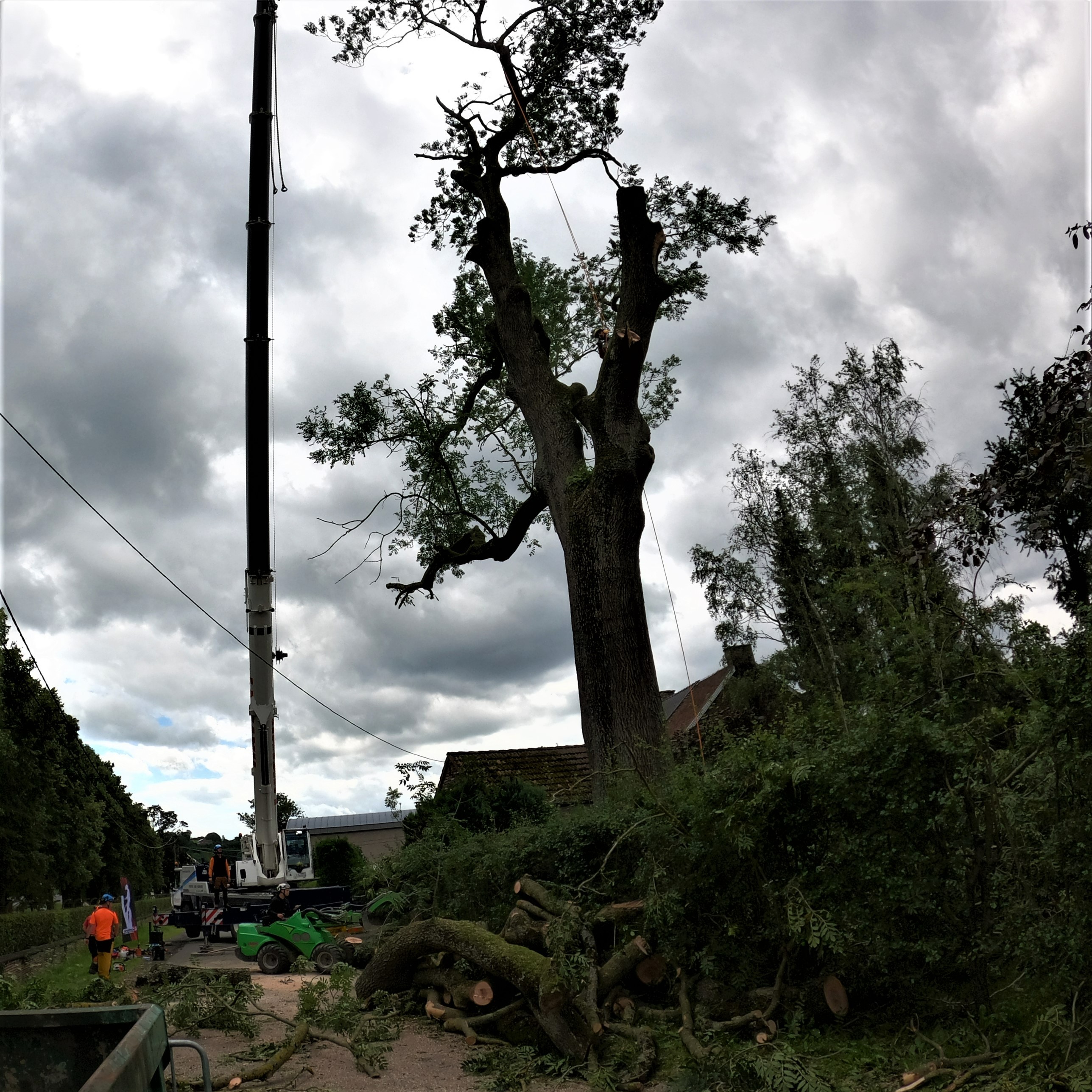 DEMONTAGE_ARBRE_GRUE_CORDERIE_BAUWENS11