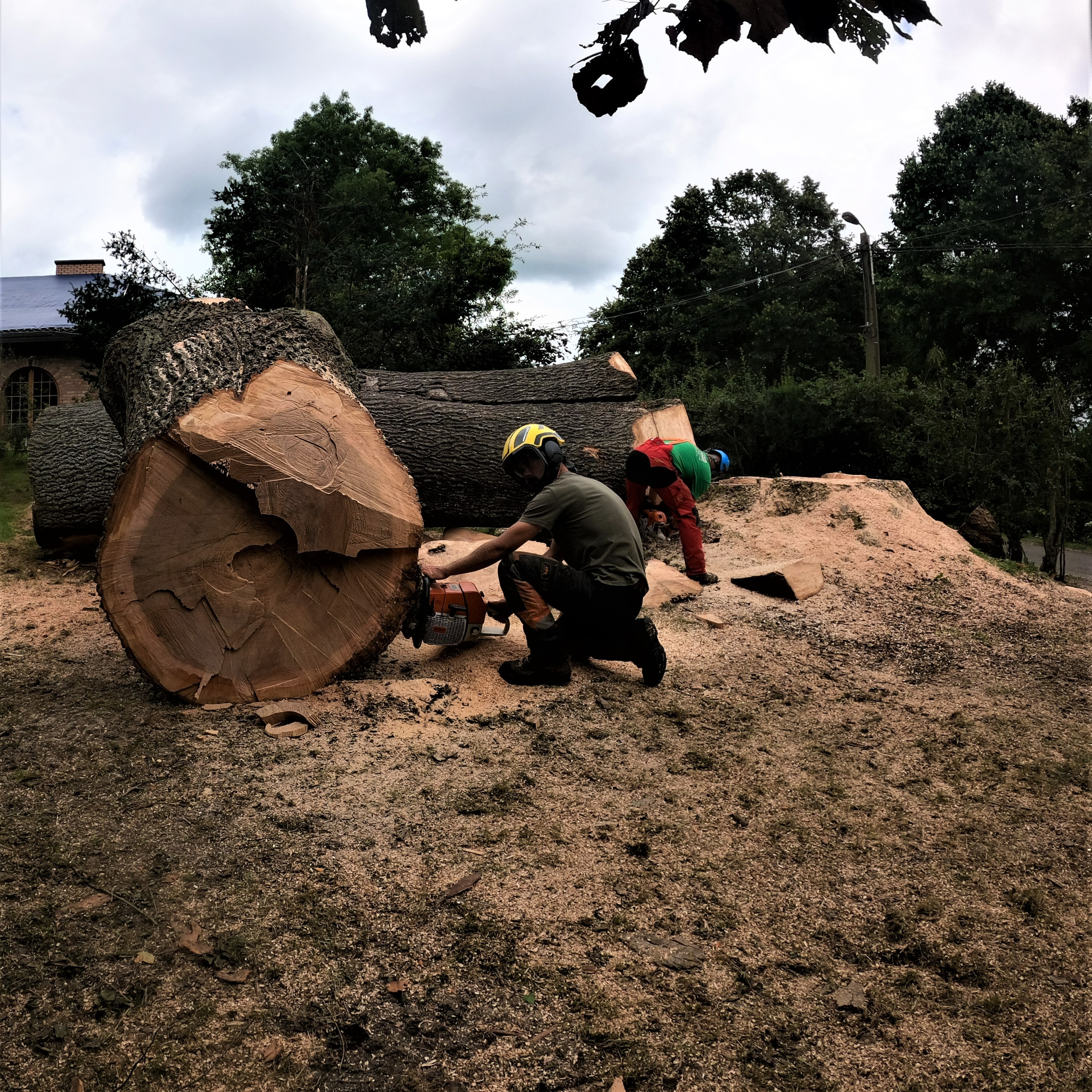 DEMONTAGE_ARBRE_GRUE_CORDERIE_BAUWENS26