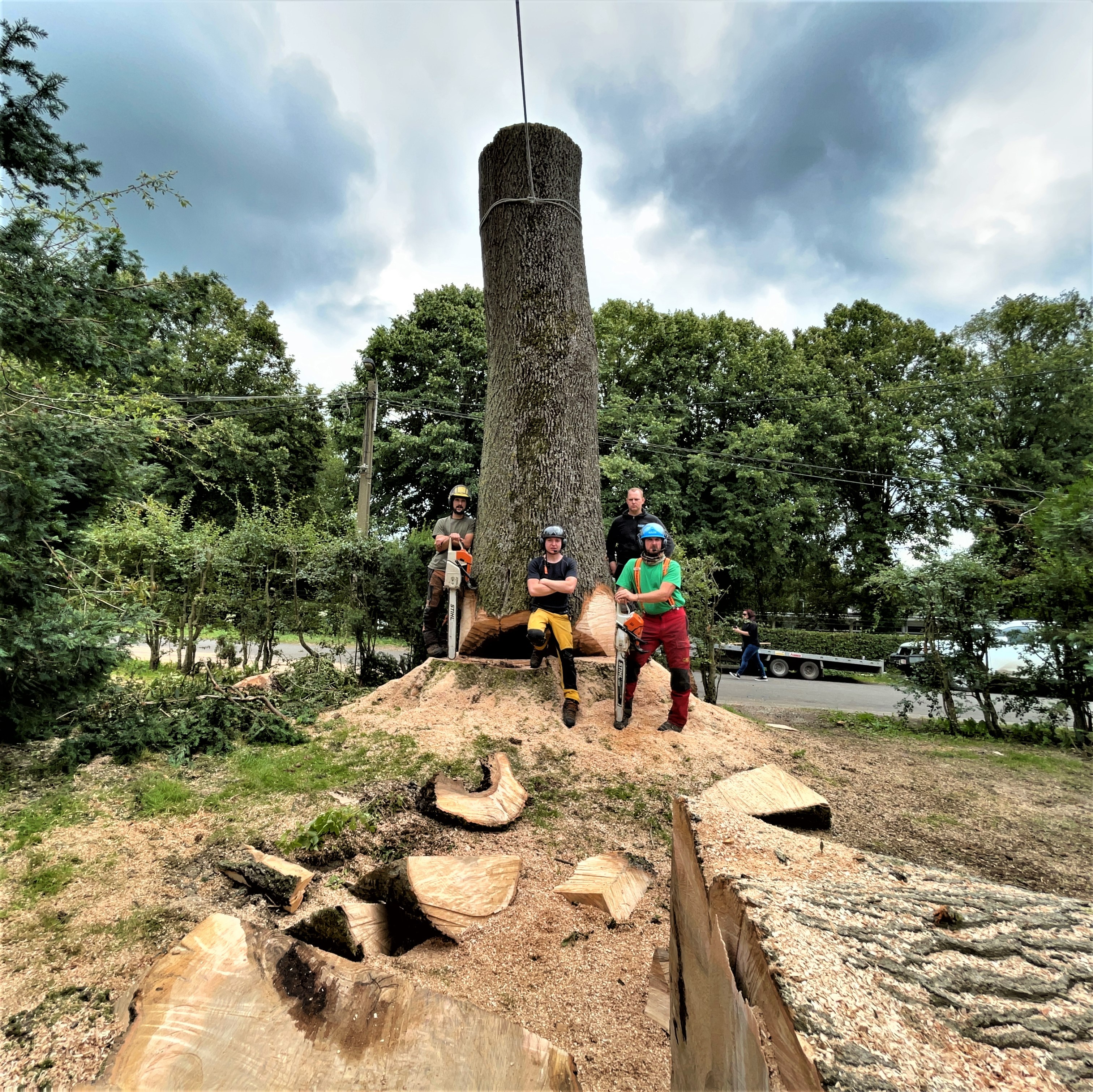 DEMONTAGE_ARBRE_GRUE_CORDERIE_BAUWENS21