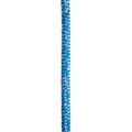argiope-evo_blue_ftc-tree_1