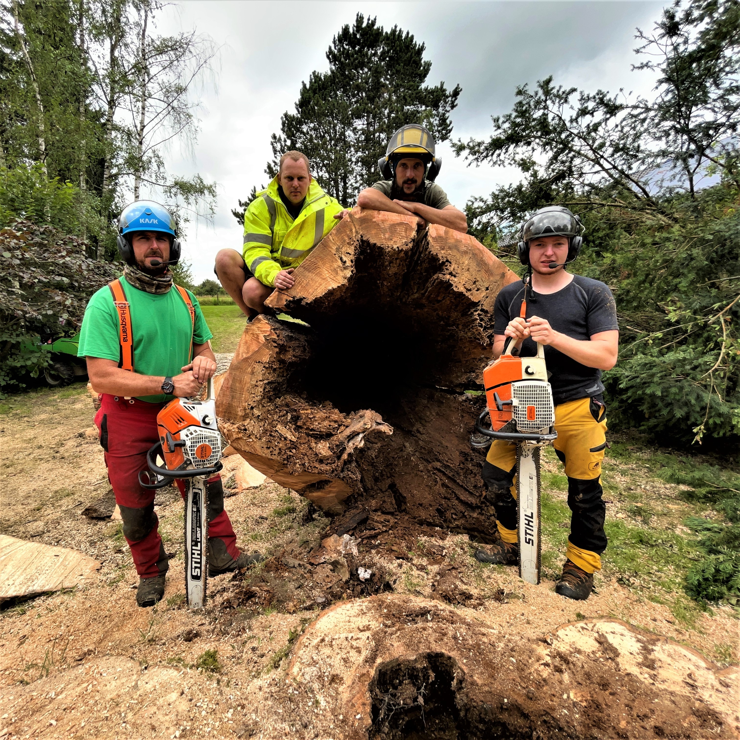 DEMONTAGE_ARBRE_GRUE_CORDERIE_BAUWENS23