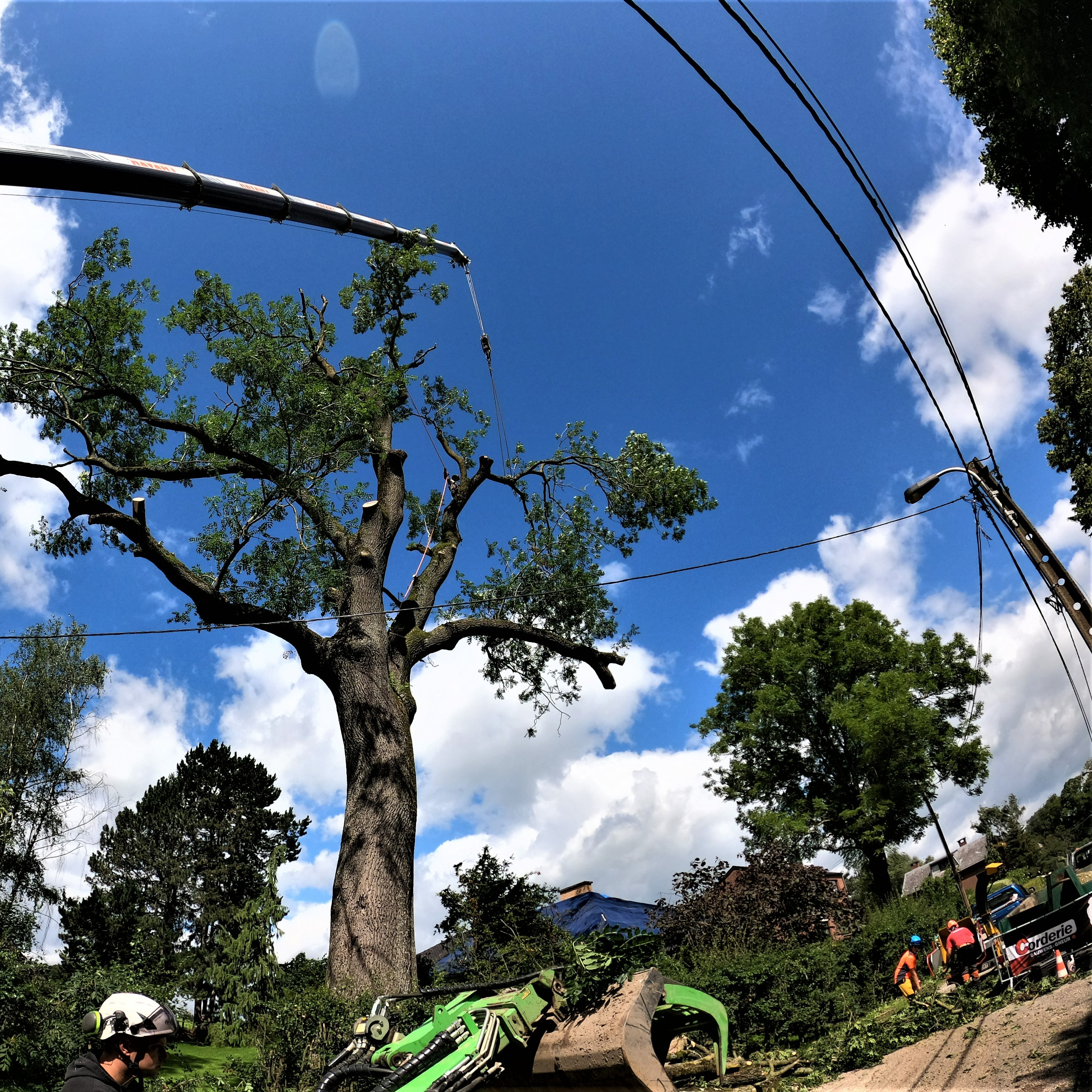 DEMONTAGE_ARBRE_GRUE_CORDERIE_BAUWENS12