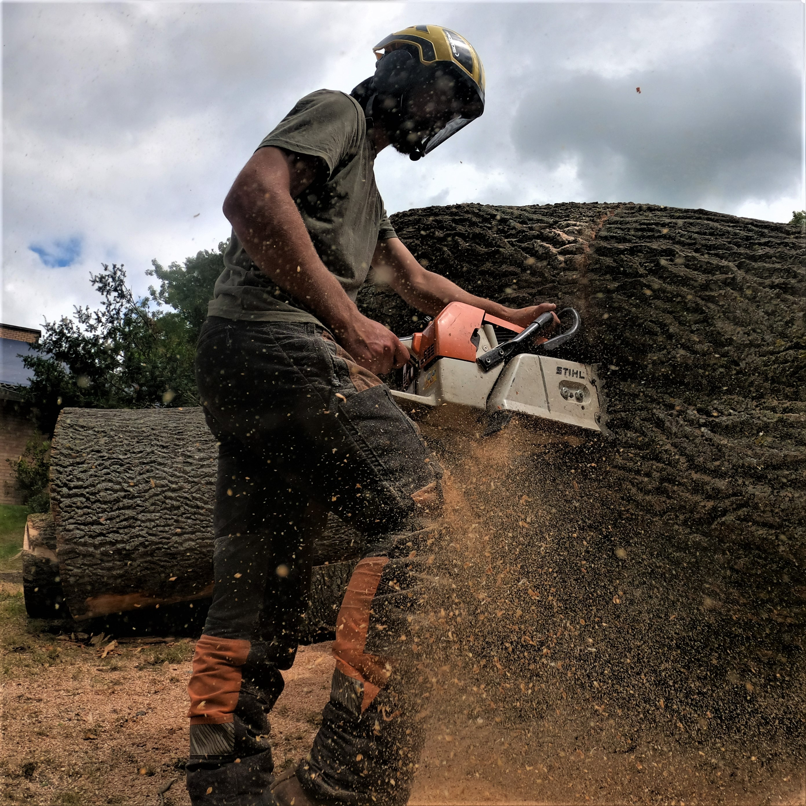 DEMONTAGE_ARBRE_GRUE_CORDERIE_BAUWENS25