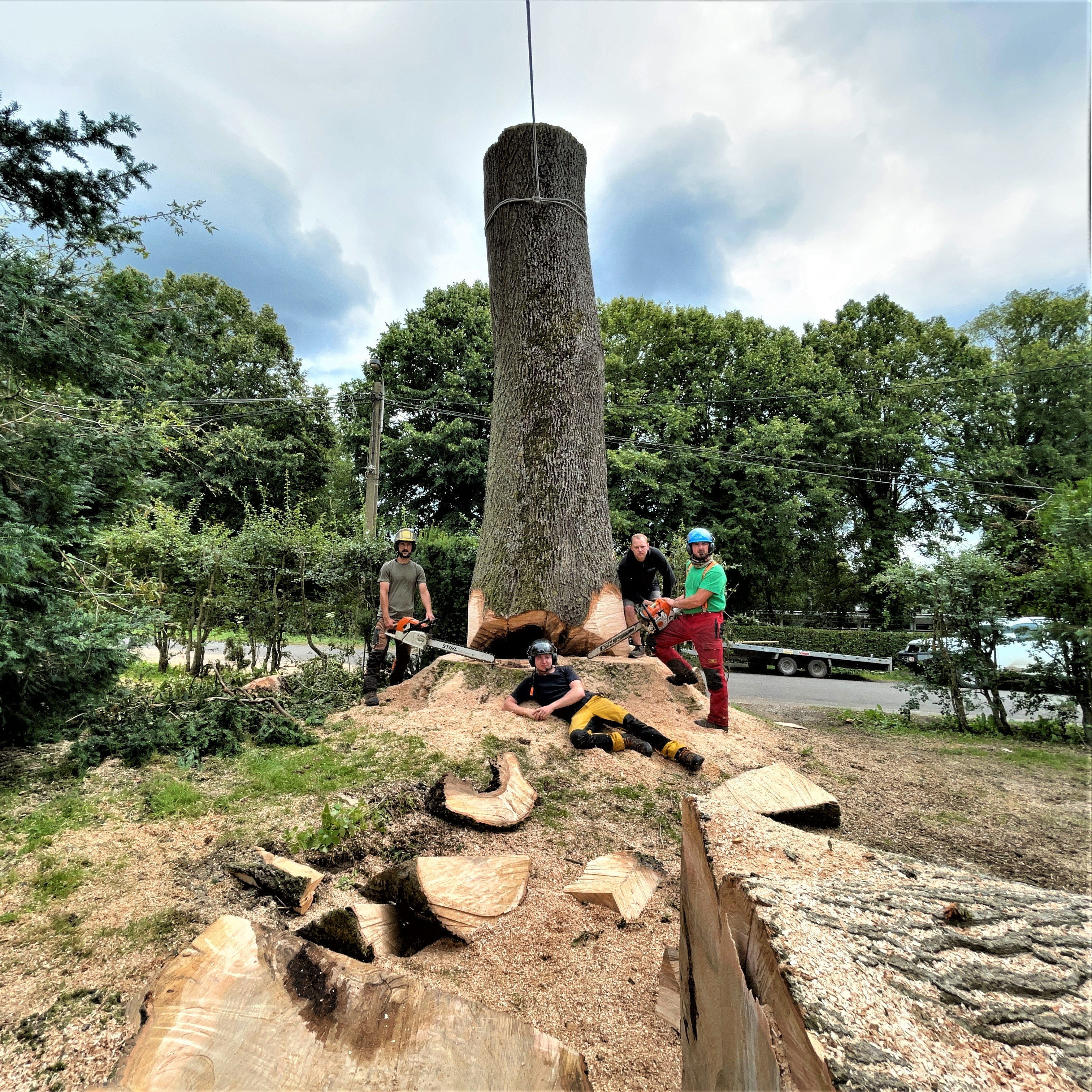 DEMONTAGE_ARBRE_GRUE_CORDERIE_BAUWENS20