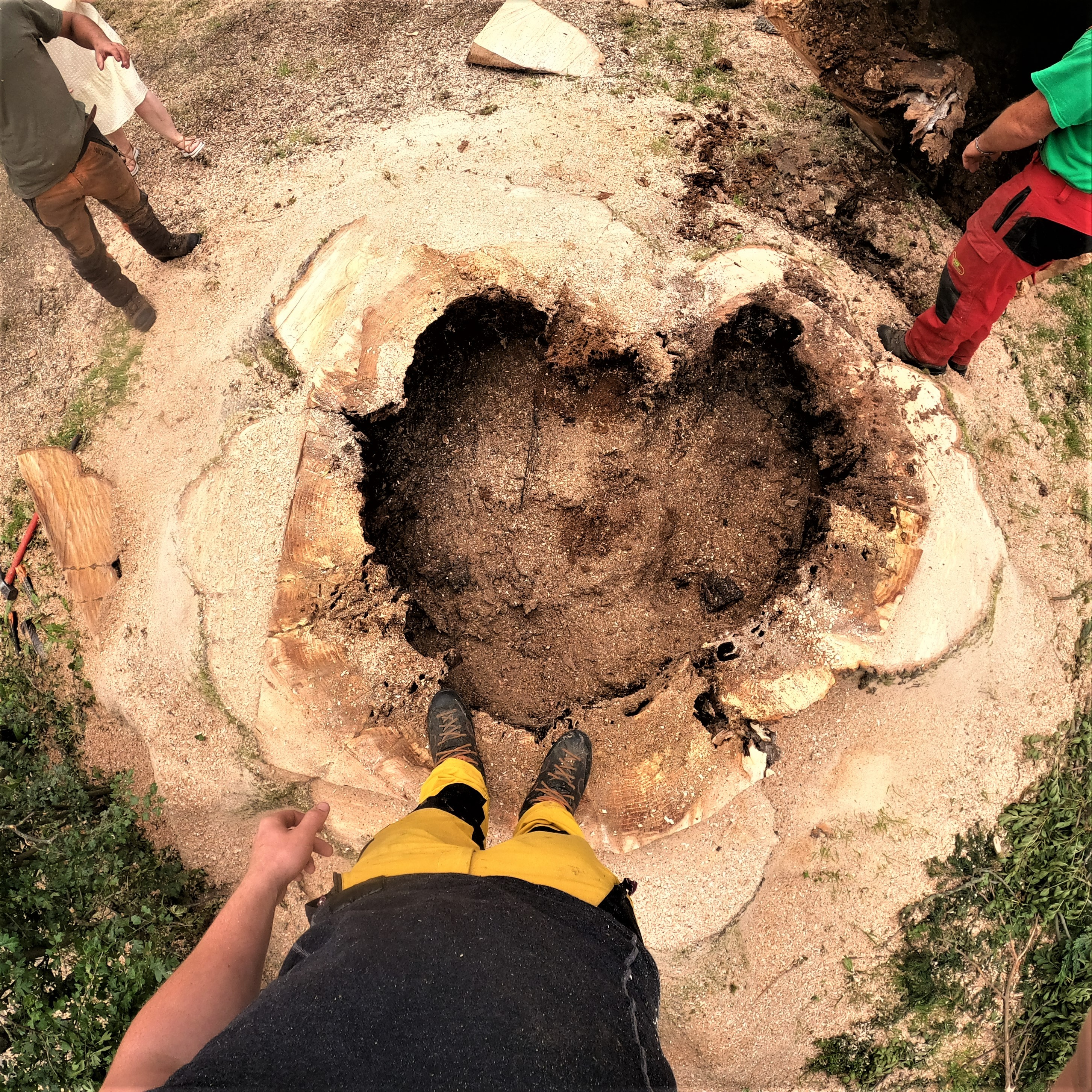 DEMONTAGE_ARBRE_GRUE_CORDERIE_BAUWENS22