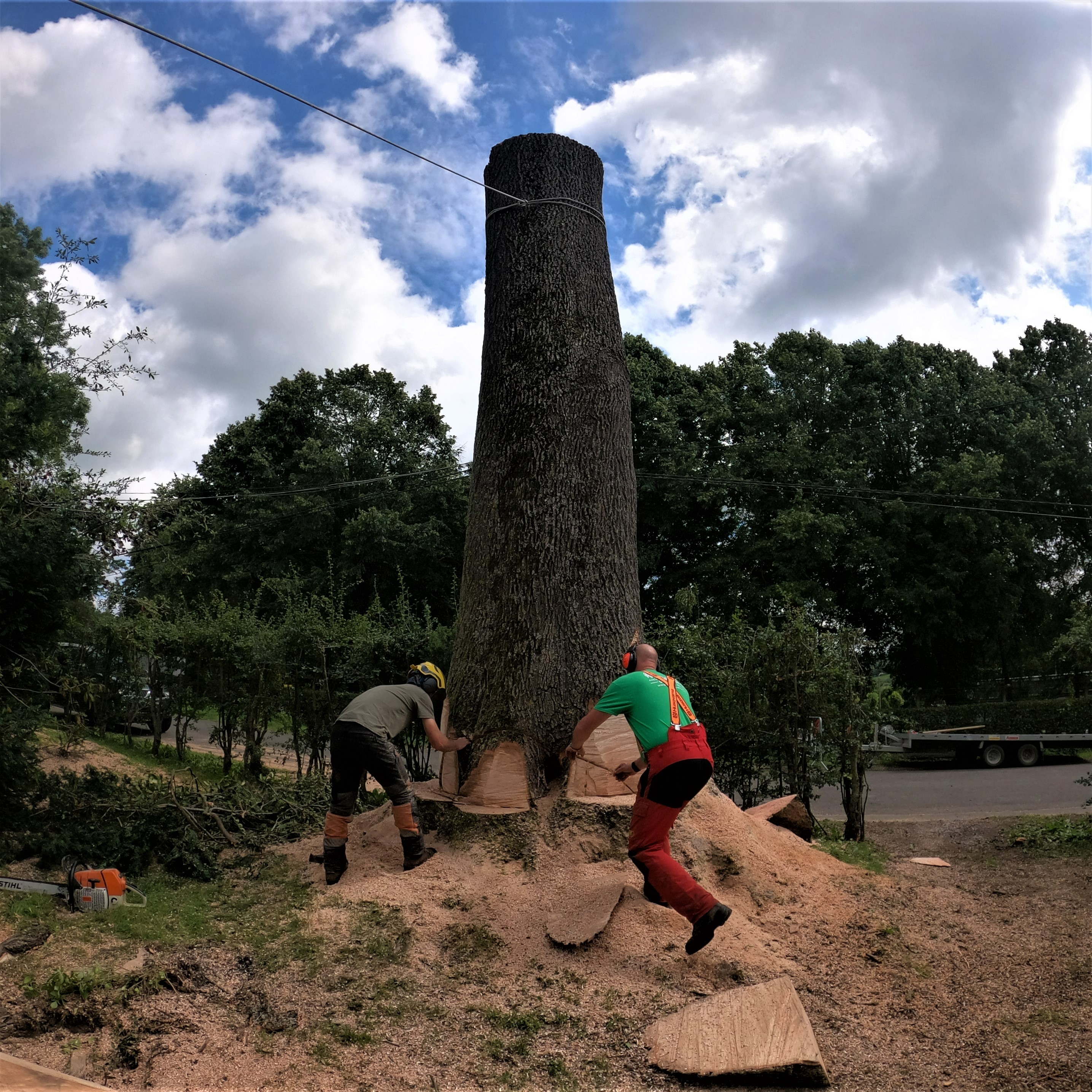 DEMONTAGE_ARBRE_GRUE_CORDERIE_BAUWENS18